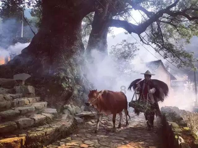 算术24点