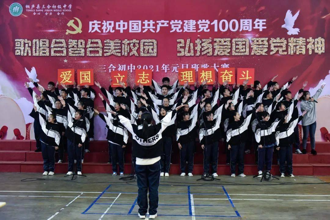 动物帮帮忙保卫家园