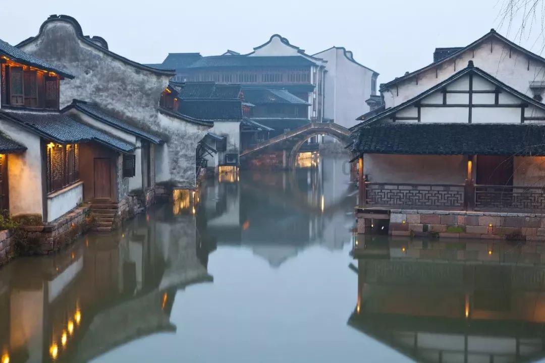 植物大战僵尸7